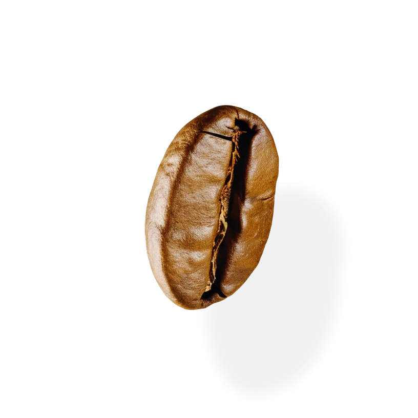 SIGNATURE ROAST COFFEE